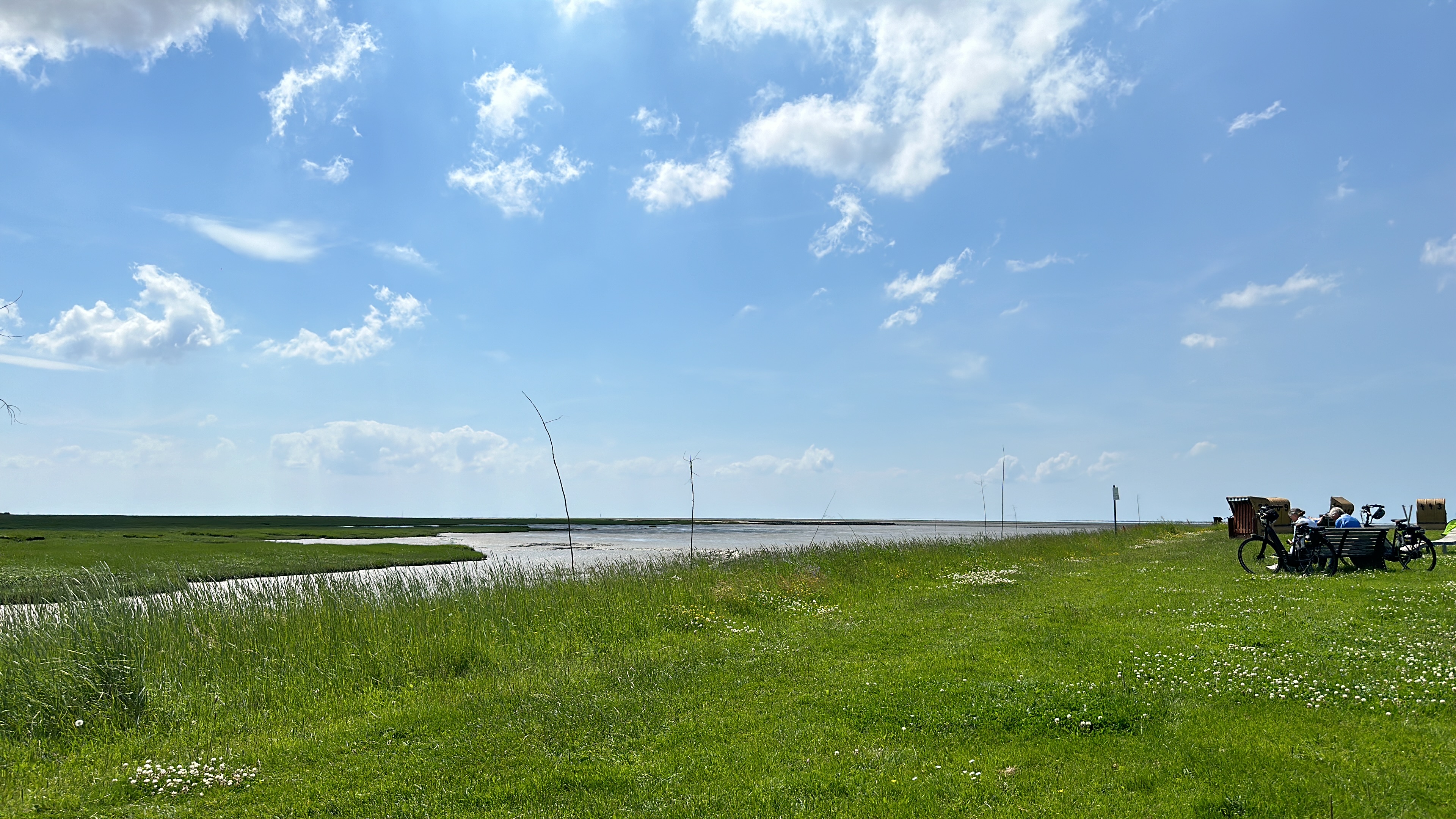 Grünstrand an der Nordsee – Blick über die Salzwiesen auf das Wattenmeer
