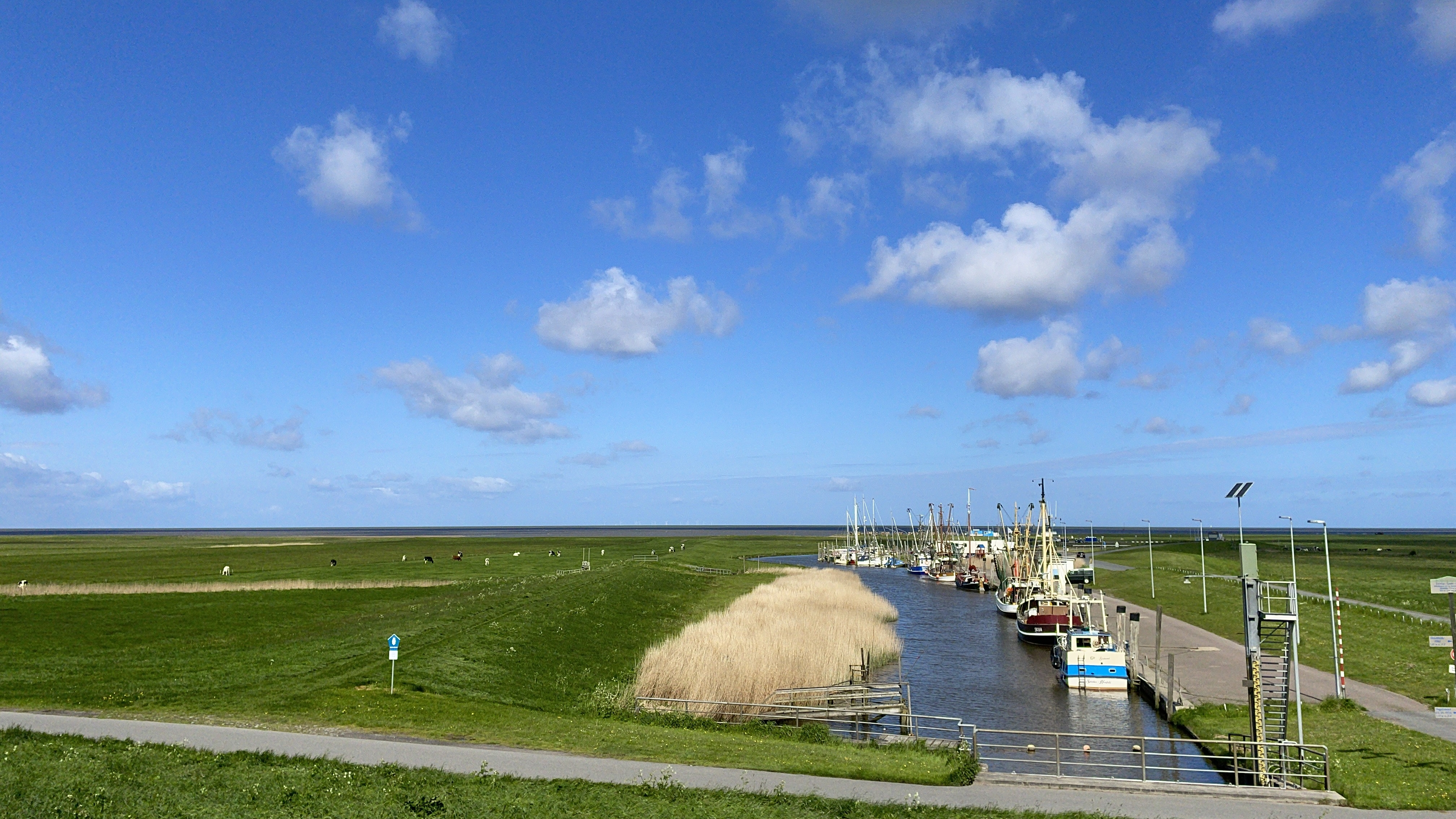 Kutterhafen Spieka-Neufeld – Blick über Deich und Marschland auf die Krabbenkutter